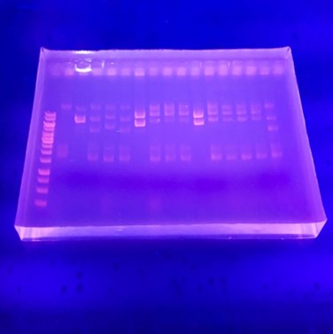 Molecular Structure Model