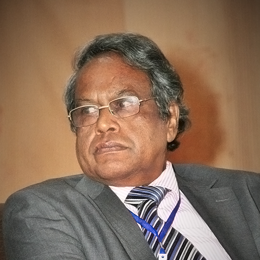 Vidya Nidhi Professor Withana P Siripala